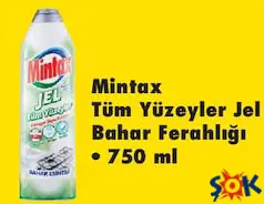 MİNTAX TÜM YÜZEYLER JEL BAHAR FERAHLIĞI 750 ML